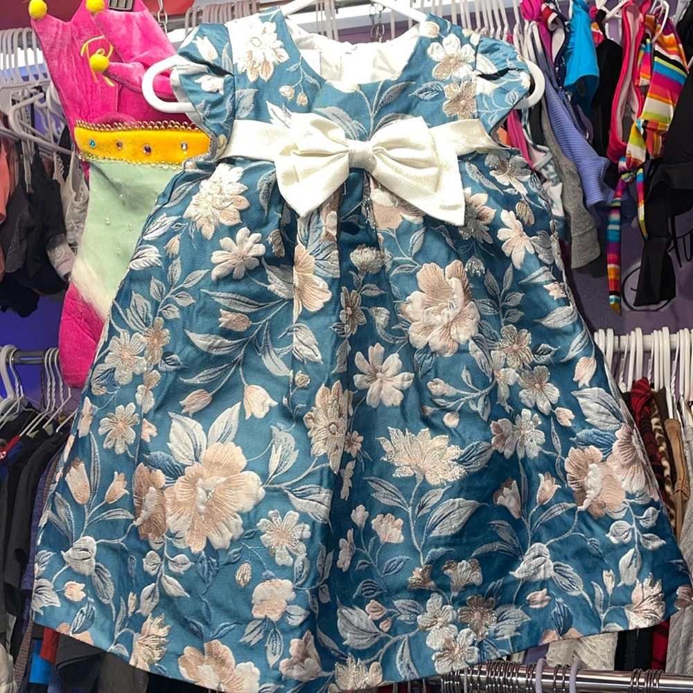 IRUS and IVEY 24month floral design princess dress